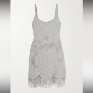 Clio Peppiatt Silver Beaded Fringe Dress
